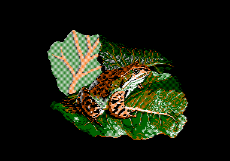 Grenouille par Jill Lawson, image en mode 1 picture sur Amstrad CPC
